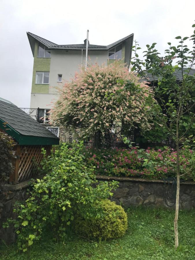 Ярдана Apartment Skhidnytsia Luaran gambar
